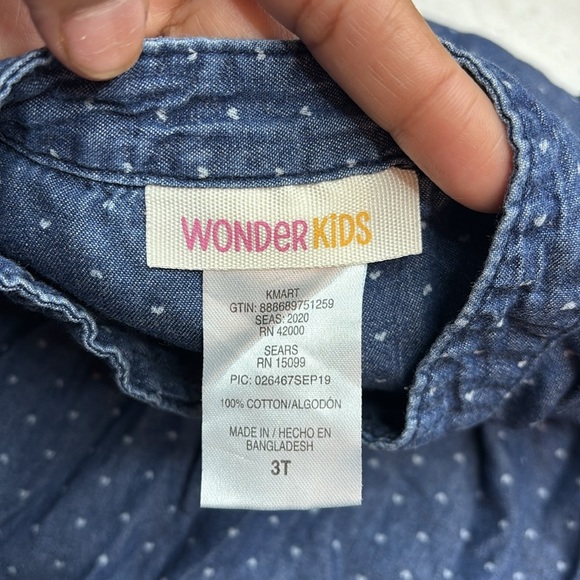 Wonderkids Blue Casual Dress with Cuffed 3/4 Sleeves and Mandarin Collar - Picture 5 of 5